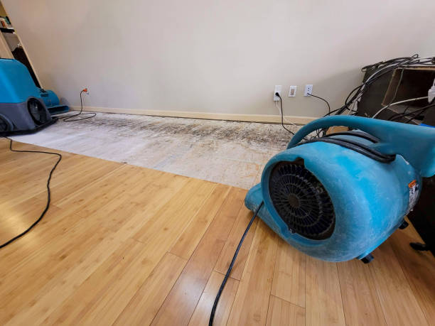 Professional Water Removal technician working in Black Diamond, FL